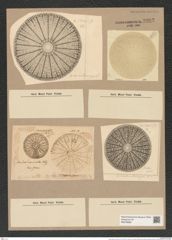 Arachnodiscus ornatus Ehr. (de-Toni-Nr.: Genus 204, Species 5209) Zeichnungen Sammlung Grunow Nr. 8992 (NHMW-BOT-W0378692)